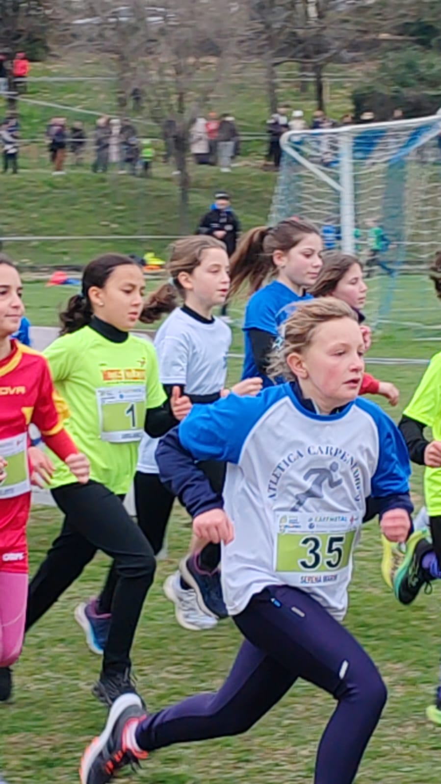 nel gruppone